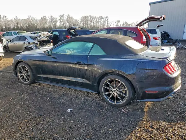 1FATP8UH4K5149692 2019 FORD MUSTANG - Image 2