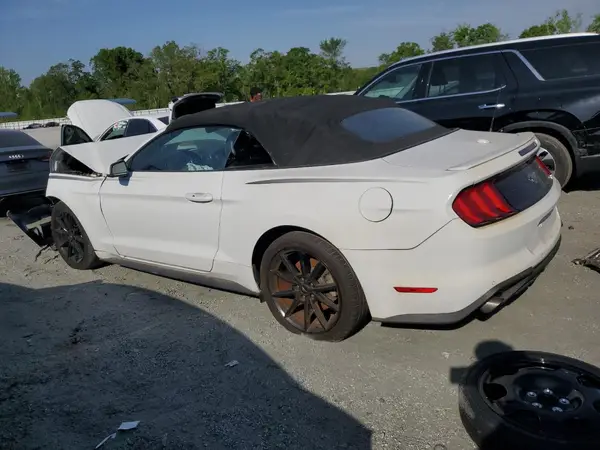 1FATP8UH4K5149952 2019 FORD MUSTANG - Image 2