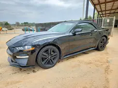 1FATP8UH4K5150101 2019 FORD MUSTANG