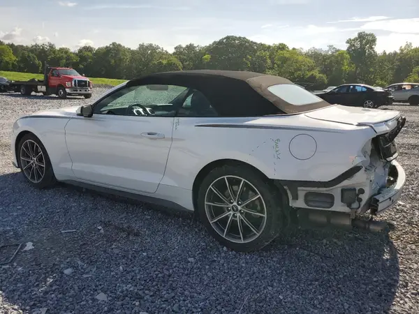 1FATP8UH4K5159932 2019 FORD MUSTANG - Image 2