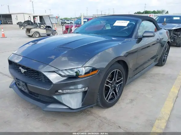 1FATP8UH4K5161454 2019 FORD MUSTANG - Image 2