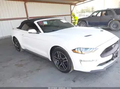 1FATP8UH4K5162474 2019 FORD MUSTANG