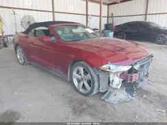 1FATP8UH4K5163205 2019 FORD MUSTANG