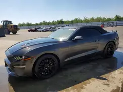 1FATP8UH4K5170056 2019 FORD MUSTANG