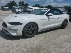 1FATP8UH4K5170476 2019 FORD MUSTANG