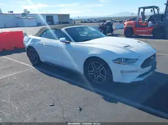 1FATP8UH4K5170946 2019 FORD MUSTANG