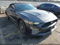 1FATP8UH4K5171997 2019 FORD MUSTANG