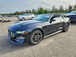 1FATP8UH4K5182000 2019 FORD MUSTANG