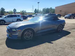 1FATP8UH4K5184409 2019 FORD MUSTANG