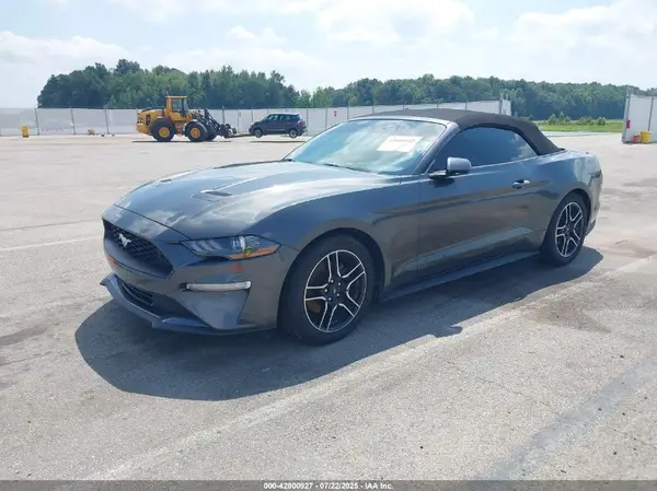 1FATP8UH4K5205212 2019 FORD MUSTANG - Image 2