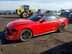 1FATP8UH4L5131484 2020 FORD MUSTANG