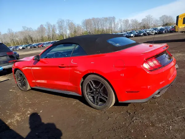 1FATP8UH4L5131484 2020 FORD MUSTANG - Image 2