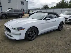1FATP8UH4L5135146 2020 FORD MUSTANG
