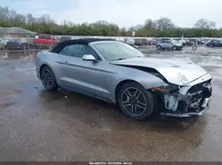 1FATP8UH4L5158684 2020 FORD MUSTANG