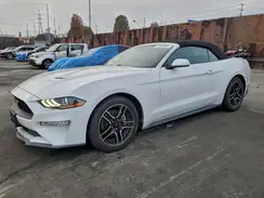 1FATP8UH4M5100396 2021 FORD MUSTANG