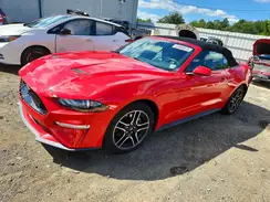 1FATP8UH4M5102519 2021 FORD MUSTANG