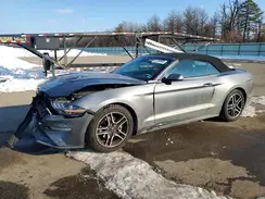 1FATP8UH4M5109213 2021 FORD MUSTANG
