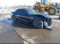 1FATP8UH4M5120647 2021 FORD MUSTANG