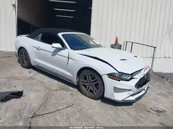 1FATP8UH4M5121037 2021 FORD MUSTANG