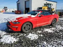 1FATP8UH4M5122494 2021 FORD MUSTANG