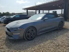 1FATP8UH4M5123080 2021 FORD MUSTANG