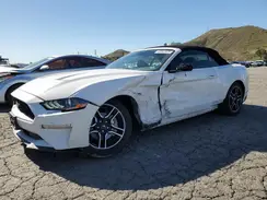 1FATP8UH4M5124570 2021 FORD MUSTANG