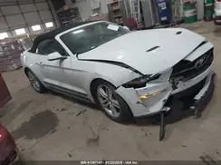 1FATP8UH4M5138923 2021 FORD MUSTANG
