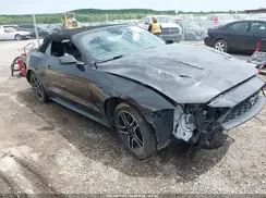 1FATP8UH4N5104370 2022 FORD MUSTANG