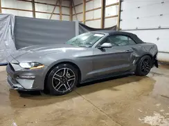 1FATP8UH4P5103271 2023 FORD MUSTANG