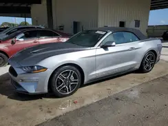 1FATP8UH4P5104291 2023 FORD MUSTANG