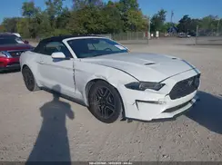 1FATP8UH4P5105036 2023 FORD MUSTANG