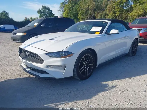 1FATP8UH4P5105036 2023 FORD MUSTANG - Image 2