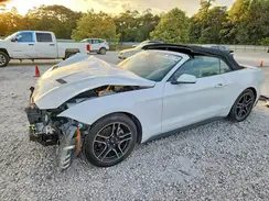 1FATP8UH4P5105652 2023 FORD MUSTANG