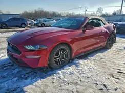 1FATP8UH4P5107353 2023 FORD MUSTANG