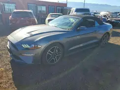 1FATP8UH4P5108664 2023 FORD MUSTANG