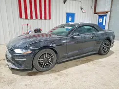 1FATP8UH4P5109443 2023 FORD MUSTANG