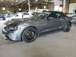 1FATP8UH4P5110544 2023 FORD MUSTANG
