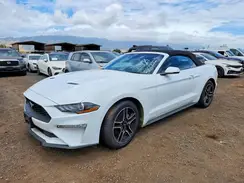 1FATP8UH4P5111628 2023 FORD MUSTANG