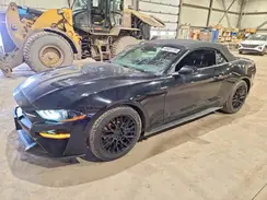 1FATP8UH4P5112195 2023 FORD MUSTANG