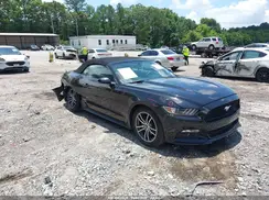 1FATP8UH5H5293504 2017 FORD MUSTANG