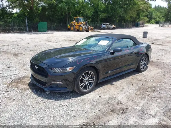 1FATP8UH5H5293504 2017 FORD MUSTANG - Image 2