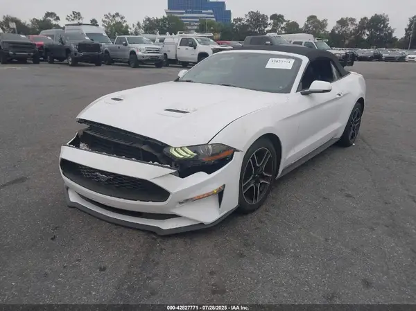 1FATP8UH5K5104602 2019 FORD MUSTANG - Image 2
