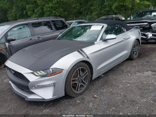 1FATP8UH5K5109802 2019 FORD MUSTANG - Image 2