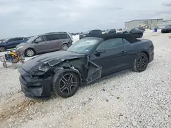 1FATP8UH5K5115647 2019 FORD MUSTANG