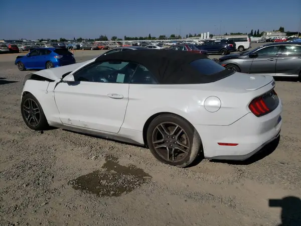 1FATP8UH5K5126261 2019 FORD MUSTANG - Image 2