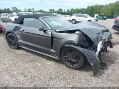 1FATP8UH5K5131234 2019 FORD MUSTANG