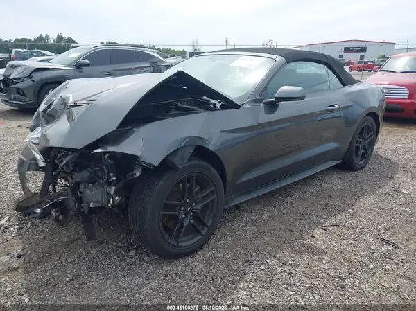 1FATP8UH5K5131234 2019 FORD MUSTANG - Image 2