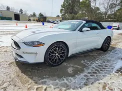1FATP8UH5K5138720 2019 FORD MUSTANG