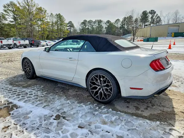 1FATP8UH5K5138720 2019 FORD MUSTANG - Image 2