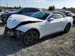 1FATP8UH5K5148681 2019 FORD MUSTANG